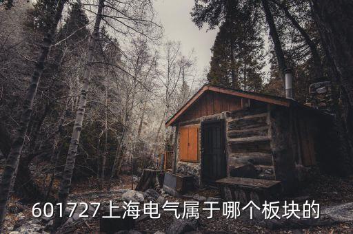 上海電氣什么行業，上海置信電氣股份有限公司是屬于什么行業