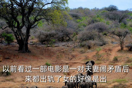 候永財執導過什么電影，以前看過一部電影是一對夫妻鬧矛盾后來都出軌了女的好像是出