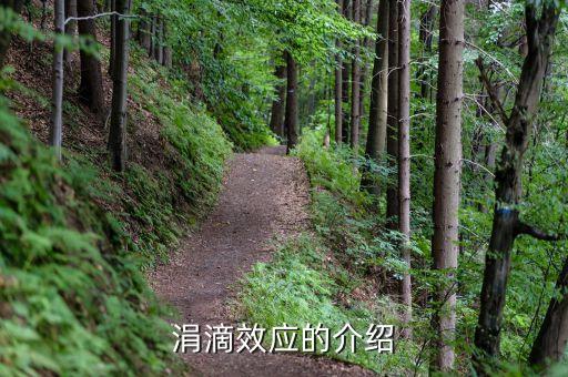 政府為什么要救濟(jì)窮人，有depend on sb to do sth嗎