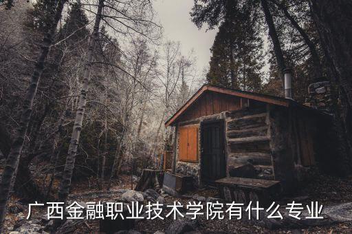 廣西金融職業技術學院有什么專業
