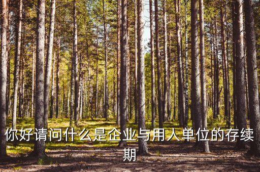 什么叫存續(xù)合同，法律上所謂的續(xù)存是什么意思
