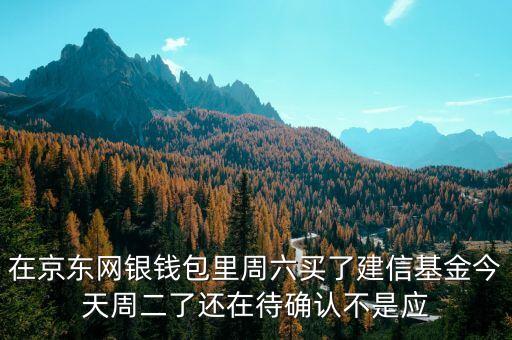 002378建信什么時候確認份額，在京東網銀錢包里周六買了建信基金今天周二了還在待確認不是應