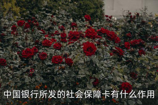 中國銀行所發的社會保障卡有什么作用