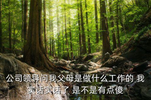 公司問父母是做什么的，公司領(lǐng)導(dǎo)問我父母是做什么工作的 我實(shí)話實(shí)話了 是不是有點(diǎn)傻