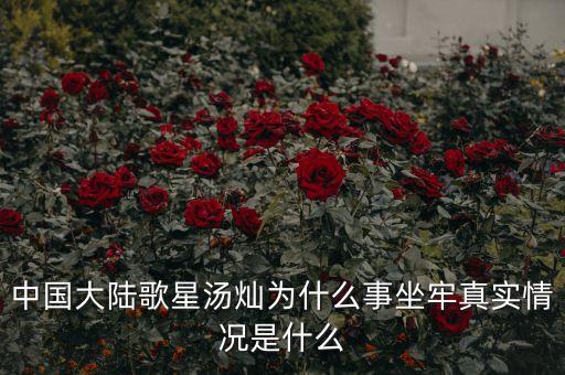 湯燦為什么要當情婦，誰知道湯燦怎么了