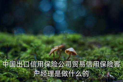 中信保客戶經(jīng)理干什么，中國出口信用保險(xiǎn)公司貿(mào)易信用保險(xiǎn)客戶經(jīng)理是做什么的
