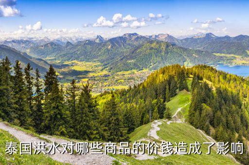 洪災對什么價格有影響，洪災對什么市場影響最大