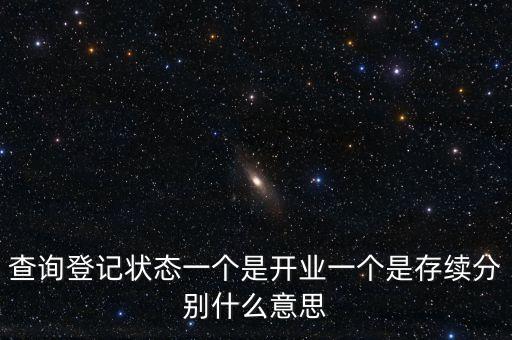 登記狀態為存續是什么意思，查詢登記狀態一個是開業一個是存續分別什么意思