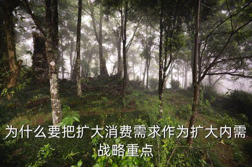 為什么要把擴大消費需求作為擴大內需戰略重點