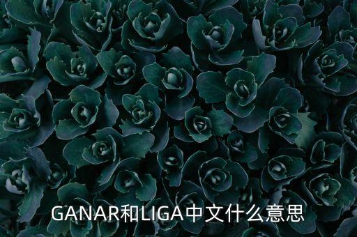 人民幣勝什么意思，韓版惡作劇之吻高中畢業勝祖跟哈妮照相時勝祖說的錢是什么意