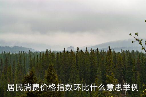 居民消費價格指數環比什么意思舉例