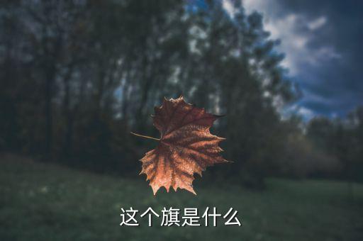601718旗是什么，7月1日是什么旗
