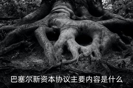 新資本協議是什么，新巴塞爾資本協議的介紹