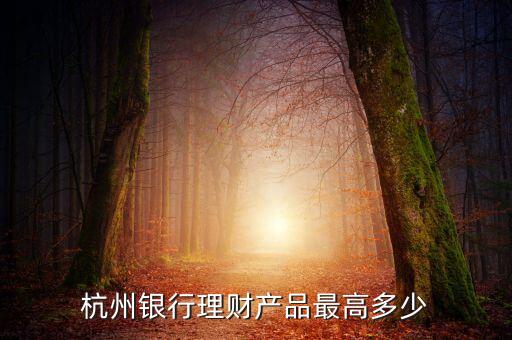 豐裕1號有什么風險，杭州銀行理財產品豐裕一號風險等級怎么