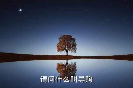電商導購是什么，什么是導購