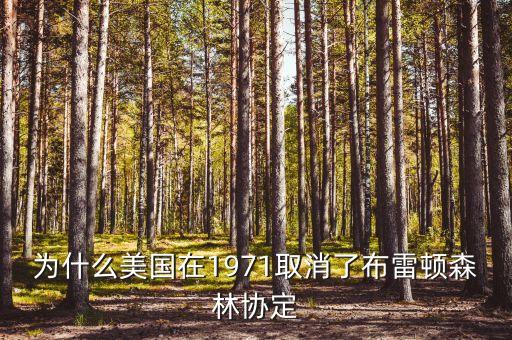 什么取代了布雷頓森林體系，布雷頓森林體系的產生說明了