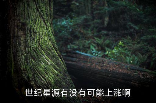 世紀星源股為什么不會漲，世紀星源有沒有可能上漲啊