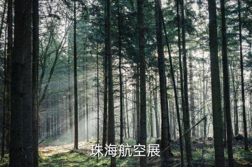珠海航展公司是什么企業，珠海航空展