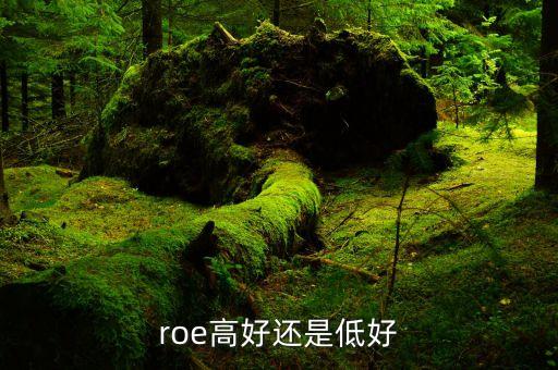 roe低說明什么，凈資產收益率反應了些什么