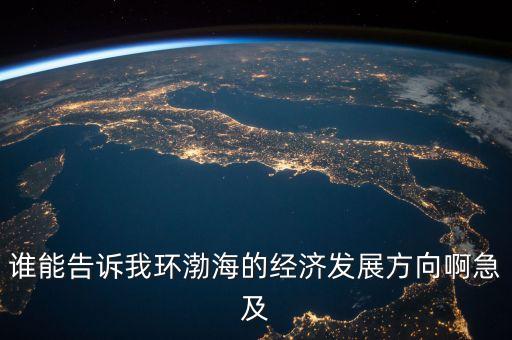 誰能告訴我環渤海的經濟發展方向啊急及