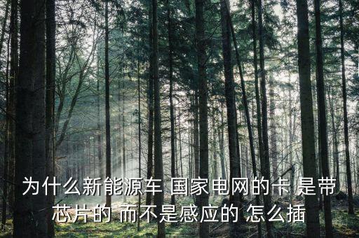 為什么新能源車 國家電網的卡 是帶芯片的 而不是感應的 怎么插