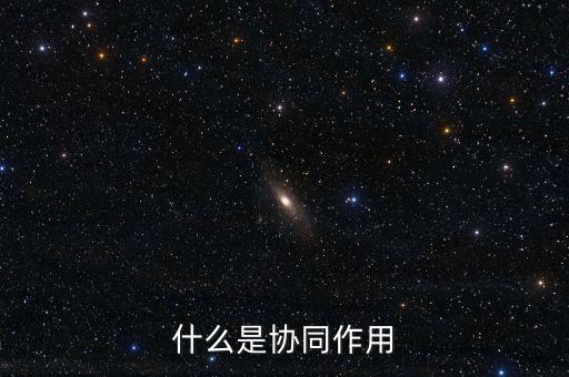 什么是協同作用