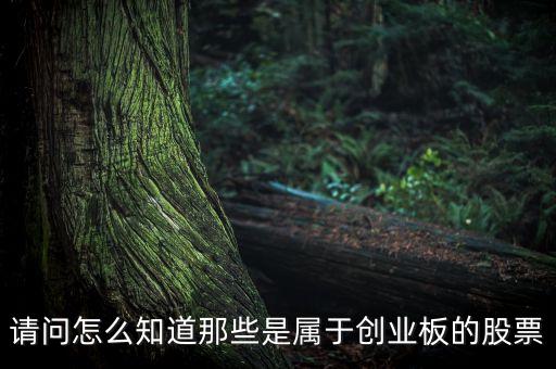 怎么知道創業板要出什么新股票，如何知道已經開通創業板股票