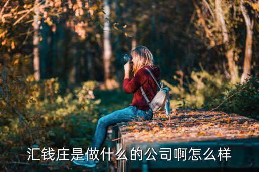 668541平臺是什么，65環境平臺是一個什么性質的平臺