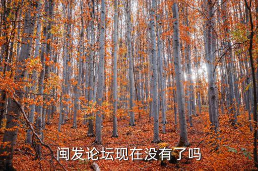 閩發論壇現在沒有了嗎