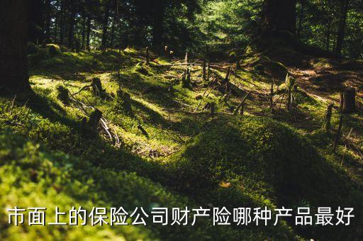 國外財險公司什么險種最火，市面上的保險公司財產險哪種產品最好