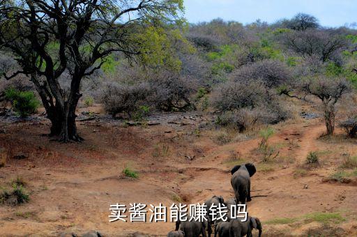 什么醬油油有利潤嗎，做生產醬油賺錢不