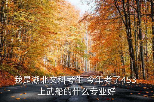 我是湖北文科考生 今年考了453 上武船的什么專業好