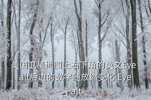美國衛星地圖上右下角的英文Eye alt后邊的數字隨放縮變化 Eye alt