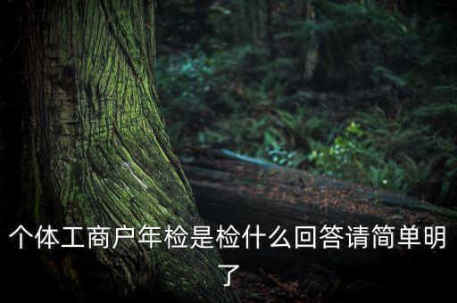 上海個體戶工商所年報是什么，個體營業執照需作年度報告