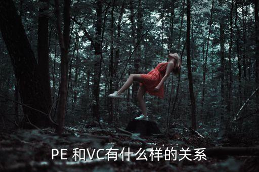 PE 和VC有什么樣的關系