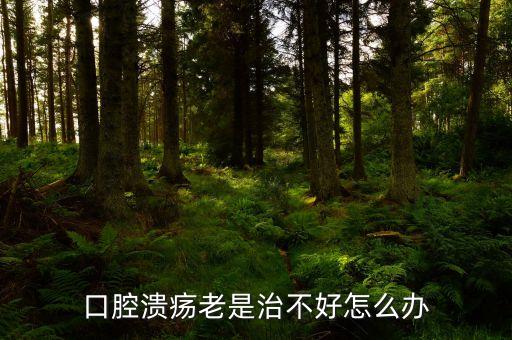 云南咖啡豆在什么時候采摘，云南小?？Х仍趺闯砸髥?/></a></span><span id=