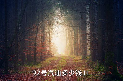 92號汽油什么價，92汽油價格
