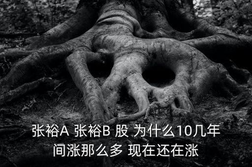 張裕A 張裕B 股 為什么10幾年間漲那么多 現在還在漲