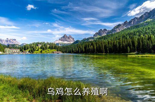 扶溝牧原飼料廠生產(chǎn)什么料，飼料廠 所生產(chǎn)的 產(chǎn)品一般需要哪些原材料