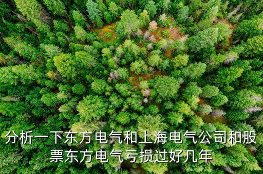 東方電氣為什么不漲，東方電氣這么好的公司為什么總是漲不上去漲不過(guò)別人呢