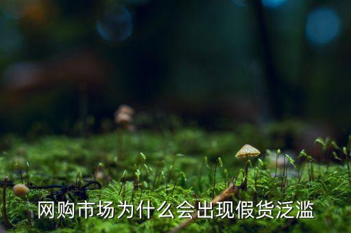 網購市場為什么會出現假貨泛濫