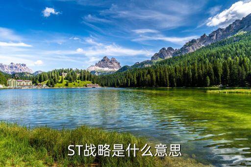 ST戰略是什么意思