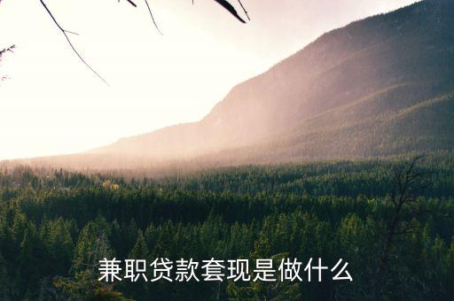 仁仁分期的兼職是什么，兼職貸款套現是做什么
