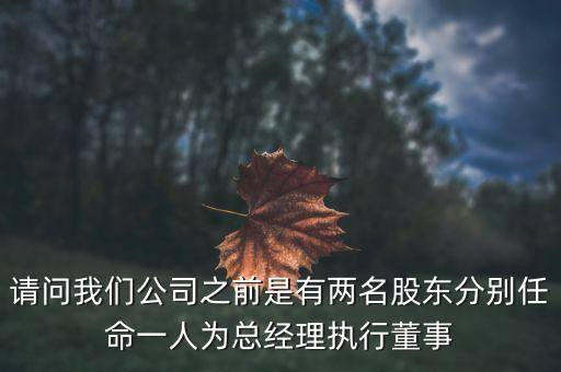 請問我們公司之前是有兩名股東分別任命一人為總經理執行董事