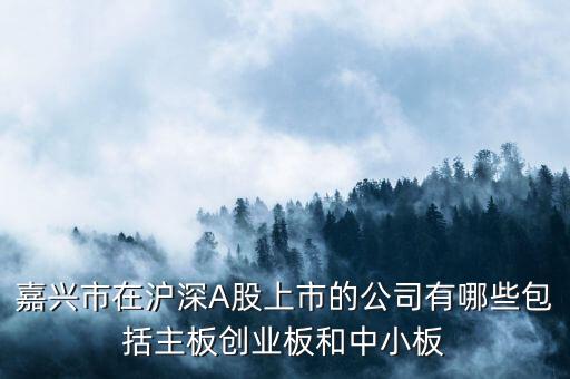 嘉興市在滬深A股上市的公司有哪些包括主板創業板和中小板