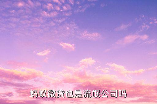 大數貸是什么，大數金融貸款20萬分兩年總還款額26萬多年利率是多少