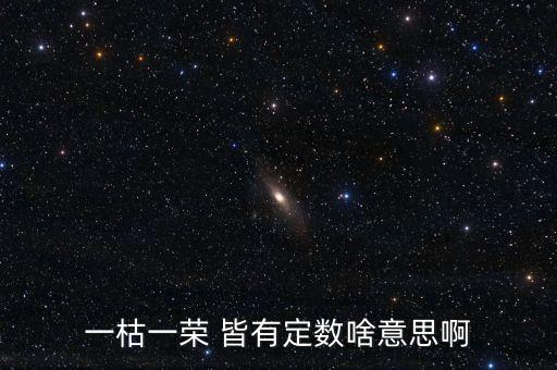 一枯一榮是什么意思，一枯一榮 皆有定數啥意思啊