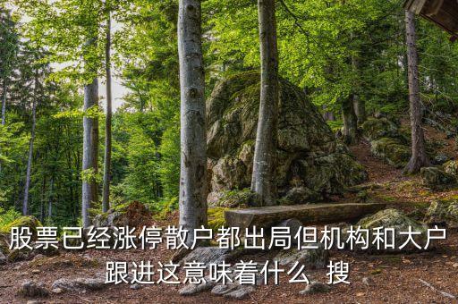 股票已經漲停散戶都出局但機構和大戶跟進這意味著什么  搜