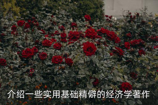 介紹一些實用基礎精僻的經濟學著作