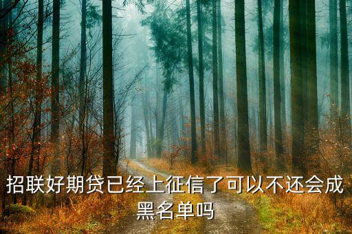 好期貸上征信怕什么，在招聯(lián)好期袋貸上面借錢都有按時(shí)歸還會上征信嗎會不會對以